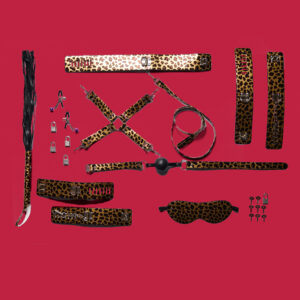 LOVEBOXXX Secret Pleasure Chest Wicked Wildcat