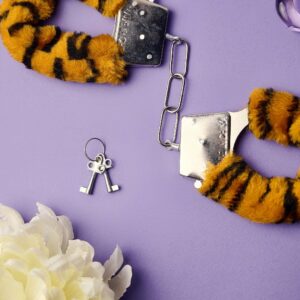 DIVERTY SEX Hundcuffs με γούνα Tigre - Image 3