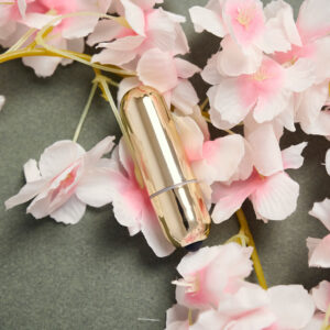 Online – Mini Bullet Vibe Golden